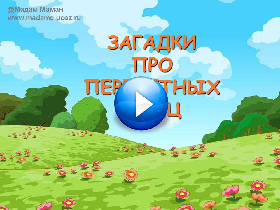 Перелётные птицы